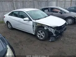 KMHLM4AG5PU583815 2023 HYUNDAI ELANTRA