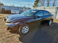 KMHLM4AG6PU382540 2023 HYUNDAI ELANTRA