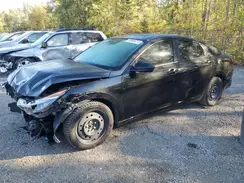 KMHLM4AG8PU502385 2023 HYUNDAI ELANTRA