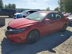KMHLM4AJ1PU038383 2023 HYUNDAI ELANTRA