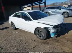 KMHLM4DG0SU076518 2025 HYUNDAI ELANTRA