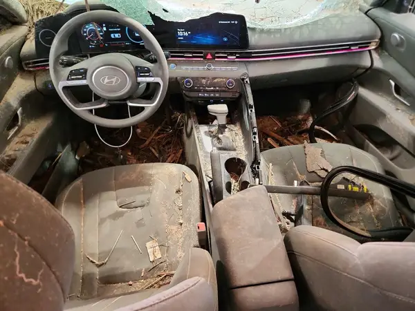KMHLM4DG1RU676930 2024 HYUNDAI ELANTRA - Image 8