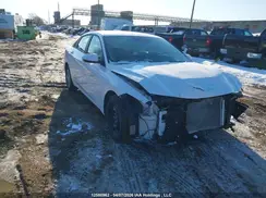KMHLM4DG1RU701986 2024 HYUNDAI ELANTRA