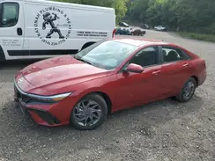 KMHLM4DG1RU729822 2024 HYUNDAI ELANTRA