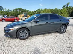 KMHLM4DG1RU813445 2024 HYUNDAI ELANTRA