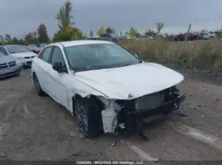 KMHLM4DG1RU826891 2024 HYUNDAI ELANTRA