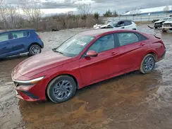 KMHLM4DG1RU834716 2024 HYUNDAI ELANTRA