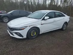 KMHLM4DG2RU664799 2024 HYUNDAI ELANTRA