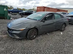 KMHLM4DG3RU654962 2024 HYUNDAI ELANTRA