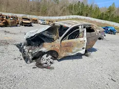 KMHLM4DG3SU034554 2025 HYUNDAI ELANTRA