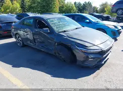 KMHLM4DG3SU905842 2025 HYUNDAI ELANTRA