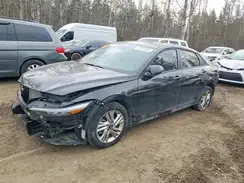 KMHLM4DG3SU967970 2025 HYUNDAI ELANTRA