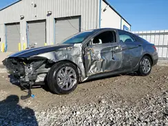 KMHLM4DG4RU698050 2024 HYUNDAI ELANTRA
