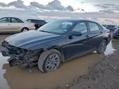 KMHLM4DG4RU736862 2024 HYUNDAI ELANTRA