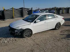 KMHLM4DG4RU813181 2024 HYUNDAI ELANTRA