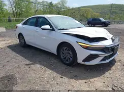 KMHLM4DG5RU641629 2024 HYUNDAI ELANTRA