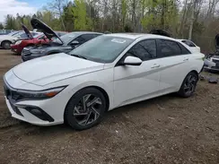 KMHLM4DG5RU705992 2024 HYUNDAI ELANTRA