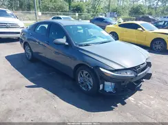 KMHLM4DG5RU754366 2024 HYUNDAI ELANTRA