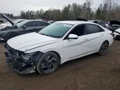KMHLM4DG5RU759826 2024 HYUNDAI ELANTRA