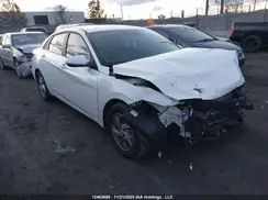 KMHLM4DG5RU797184 2024 HYUNDAI ELANTRA