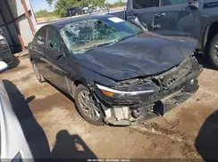 KMHLM4DG6RU638464 2024 HYUNDAI ELANTRA