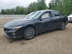 KMHLM4DG6SU967347 2025 HYUNDAI ELANTRA