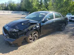 KMHLM4DG8RU667657 2024 HYUNDAI ELANTRA