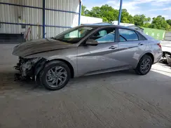 KMHLM4DG8RU726447 2024 HYUNDAI ELANTRA