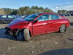 KMHLM4DG8RU810610 2024 HYUNDAI ELANTRA