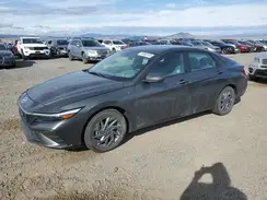 KMHLM4DG8RU817086 2024 HYUNDAI ELANTRA