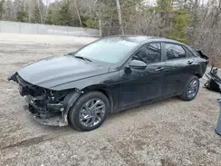 KMHLM4DG8RU825205 2024 HYUNDAI ELANTRA