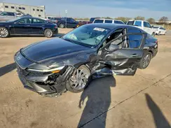 KMHLM4DGXRU651511 2024 HYUNDAI ELANTRA