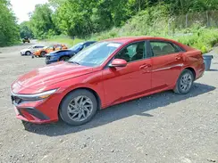 KMHLM4DGXRU658426 2024 HYUNDAI ELANTRA