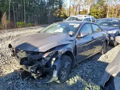 KMHLM4DGXRU665117 2024 HYUNDAI ELANTRA