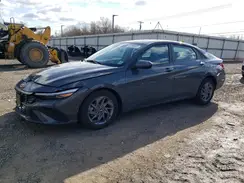 KMHLM4DGXRU687229 2024 HYUNDAI ELANTRA