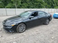 KMHLM4DGXRU715126 2024 HYUNDAI ELANTRA