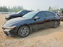 KMHLM4DGXRU766321 2024 HYUNDAI ELANTRA
