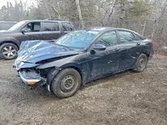 KMHLM4DGXRU774578 2024 HYUNDAI ELANTRA