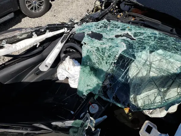 KMHLM4DJ0RU116098 2024 HYUNDAI ELANTRA - Image 8