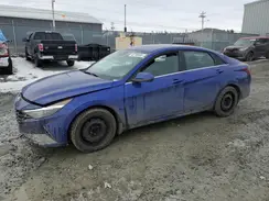 KMHLN4AG0PU541355 2023 HYUNDAI ELANTRA