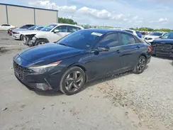 KMHLN4AG1PU507263 2023 HYUNDAI ELANTRA