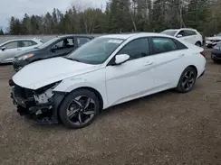 KMHLN4AG6PU409331 2023 HYUNDAI ELANTRA