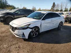 KMHLN4AG8PU459566 2023 HYUNDAI ELANTRA