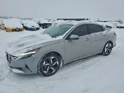 KMHLN4AG8PU600491 2023 HYUNDAI ELANTRA
