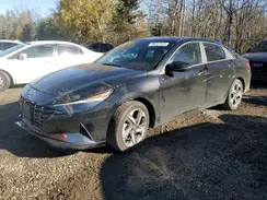 KMHLN4AJ0PU071520 2023 HYUNDAI ELANTRA