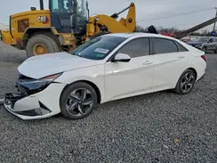 KMHLN4AJ0PU090424 2023 HYUNDAI ELANTRA