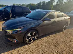 KMHLN4AJ2PU082115 2023 HYUNDAI ELANTRA