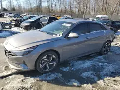 KMHLN4AJ6PU075278 2023 HYUNDAI ELANTRA