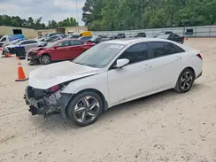 KMHLN4AJ7PU051250 2023 HYUNDAI ELANTRA