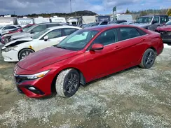 KMHLN4DG0RU791967 2024 HYUNDAI ELANTRA